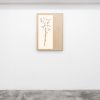 Herbarium: Eryngium Planum - Wall Light Sculpture | Wall Sculpture in Wall Hangings by Mateusz Wappa Design & Research. Item composed of birch wood and glass in minimalism or modern style