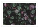 Winter leaves I | Limited Edition Print | Photography by Tal Paz-Fridman | Limited Edition Photography. Item made of paper works with country & farmhouse & coastal style