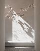 Dune 6 Curve Pendant Light | Chandeliers by MOSS Objects. Item made of metal compatible with contemporary and japandi style