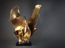 Ayer’s Wing Sculpture | Sculptures by Ron Dier Design | Townhouses, Scottsdale, AZ in Scottsdale