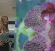 Submerged Garden Series | Photography by Andrea Bonfils | Hilton Ocala in Ocala. Item composed of paper