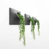 Node M Wall Planter, 9" Modern Plant Wall Set, Gray | Sculptures by Pandemic Design Studio. Item composed of stoneware in minimalism or mid century modern style