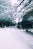 TOKYO PASSAGE V | Photography by Sven Pfrommer. Item made of glass works with asian style