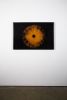 Agaricales Series | Prints by Virginia Kistler. Item composed of paper