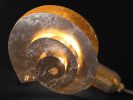 "Life Spiral" | Table Lamp in Lamps by F+M FOS - Anna Maria Fragiskos Bitros. Item composed of glass