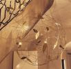Tontine Feuille | Chandeliers by Ombre Portée | Deezer in Paris. Item composed of brass