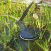 Pewit Stainless Steel Sculpture Of A Pewit | Public Sculptures by Jeroen Stok. Item made of steel