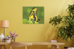 Yellow Butterfly - Vibrant Giclée Print | Prints in Paintings by Michelle Keib Art. Item composed of paper
