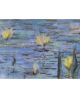 Water Lily Reverie | Oil And Acrylic Painting in Paintings by Elizabeth MacLean. Item compatible with contemporary and coastal style