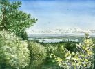 Vue du sentier | Oil And Acrylic Painting in Paintings by Maurice Dionne FINEART. Item composed of synthetic