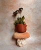 Nova | Plant Pot | Planter in Vases & Vessels by Amanita Labs