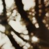 "Printemps Des Arbres" | Oil And Acrylic Painting in Paintings by Laura Wood | 64 Boulevard Haussmann in Paris. Item made of canvas