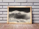Two | Limited Edition Print | Photography by Tal Paz-Fridman | Limited Edition Photography. Item composed of paper compatible with country & farmhouse and coastal style