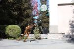 Speed Skater by Dee Clements, NSG | Public Sculptures by JK Designs and the National Sculptors' Guild