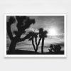 Joshua Tree No. 4 (Ltd Edition) | Photography by Daylight Dreams Editions. Item made of paper works with boho & contemporary style