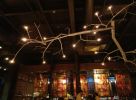 NewGROWTH floating chandeliers | Chandeliers by CP Lighting | Simply Massage in Glenwood Springs. Item composed of aluminum in contemporary or country & farmhouse style