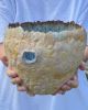 Ceramic Deep Sea Bowl | BREATH OF THE DEEP | Decorative Bowl in Decorative Objects by Elena Miller. Item made of ceramic works with contemporary & coastal style
