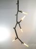 newGROWTH2 LED Linked Branch chandelier System | Pendants by CP Lighting. Item composed of aluminum