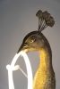 "Peacock Lamp" | Sculptures by MARCANTONIO