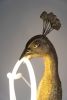 "Peacock Lamp" | Sculptures by MARCANTONIO. Item composed of brass