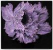 Wabi Bloom - Lillà - Wall resin Artwork | Wall Sculpture in Wall Hangings by Urban Plaster Bloom. Item made of cement works with minimalism & contemporary style
