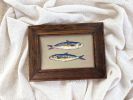 Sardine Art Print for Fisherman Core Aesthetic | Prints in Paintings by Melissa Mary Jenkins Art. Item composed of paper compatible with country & farmhouse and coastal style