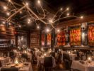 NewGROWTH floating chandeliers | Chandeliers by CP Lighting | Simply Massage in Glenwood Springs. Item composed of aluminum in contemporary or country & farmhouse style
