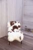 Wool Gathering Slipper Chair #3 | Easy Chair in Chairs by Grange Home