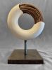 Torus 1 (Ontogeny) - Indoor Metal Sculpture | Sculptures by David Mills Studio. Item composed of metal in minimalism or mid century modern style