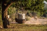 Studio Stirling Nest Eggs at Chikwenya Camp in Zimbabwe | Swing Chair in Chairs by Studio Stirling. Item made of steel works with minimalism & coastal style