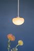 Coronette 1 Pendant | Pendants by Sara Schoenberger. Item composed of brass & glass compatible with contemporary and eclectic & maximalism style