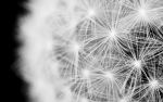 Wishes | Photography by Robert Bengtson / The Art of Detail Gallery. Item composed of metal