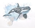 Ocean Triptych - ink & pencil drawing | Oil And Acrylic Painting in Paintings by Melissa Patel. Item made of paper