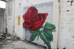 Rebird rose by MrKas | Street Murals by MrKas