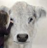 Ciao Bella | Paintings by Marilyn Landers