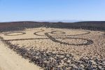 "DNA of the veld" | Public Sculptures by Janet Botes. Item composed of stone