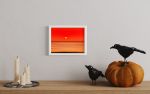 Red Sea Sun | Photography by Marc VanDermeer. Item made of paper