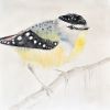 Pardalote | Oil And Acrylic Painting in Paintings by Lee Cline. Item composed of canvas in boho or contemporary style