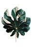 Tender Greens Paintings | Prints by clintonfriedman | Tender Greens in Newton. Item made of paper