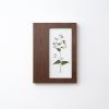 Herbarium Mini: Lunaria Annua - Wall Light Sculpture | Wall Sculpture in Wall Hangings by Mateusz Wappa Design & Research. Item made of birch wood & glass compatible with minimalism and modern style
