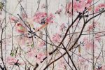 Here's The Spring | Oil And Acrylic Painting in Paintings by Irena Orlov. Item made of canvas & synthetic