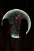 Handcrafted Moon Wall Art with RGB LED Lighting | Sculptures by Yasemin Arabacıgil. Item made of birch wood compatible with contemporary style
