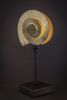 "Life in Spiral" | Table Lamp in Lamps by Fragiskos Bitros. Item made of copper