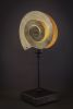 "Life in Spiral" | Table Lamp in Lamps by F+M FOS - Anna Maria Fragiskos Bitros. Item made of copper