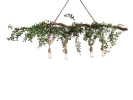 Rustic Wood Chandelier with Edison Bulbs – Handmade Boho | Chandeliers by Magdyss Boutique. Item made of wood works with boho & minimalism style