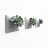 Node M Wall Planter, 9" Modern Plant Wall Set, Gray | Sculptures by Pandemic Design Studio. Item composed of stoneware in minimalism or mid century modern style