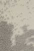 Rug & Kilim’s Cowhide Rug in Silver-Gray and White Tones | Area Rug in Rugs by Rug and Kilimarea