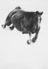 Freefall | Drawings by Patsy McArthur. Item made of paper