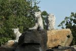 Lion Pride by Darrell Davis, NSG | Public Sculptures by JK Designs and the National Sculptors' Guild