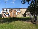 Eyes of the tiger | Street Murals by Anat Ronen | Texas Southern University in Houston